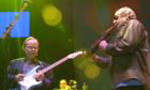 STEELY DAN
